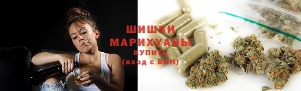 МДПВ Богородицк