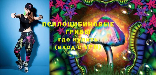 МДПВ Богородицк