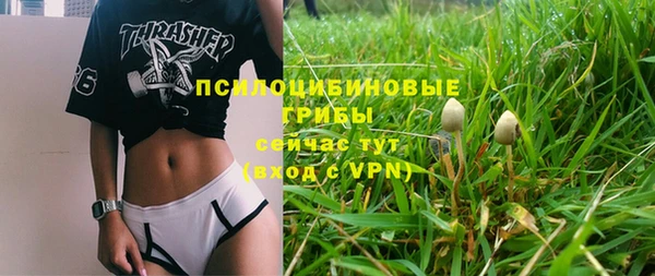 COCAINE Богданович