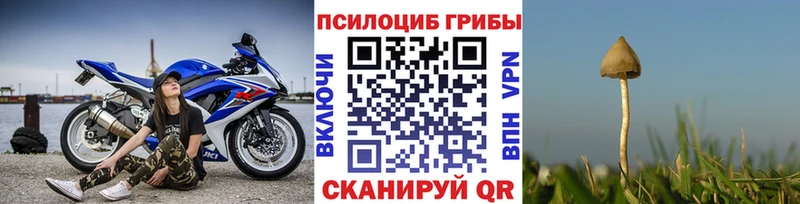 Галлюциногенные грибы Cubensis Купить где Бодайбо